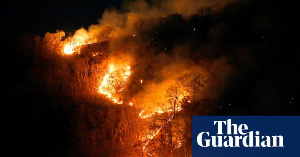 G7 leaders to hold emergency talks over Amazon wildfires crisis