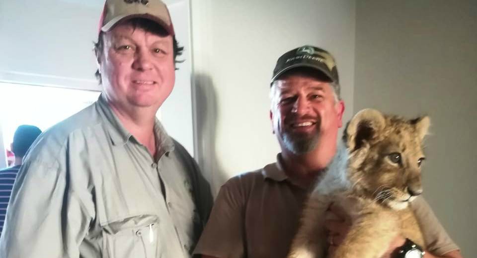 Multiple lion cub trafficking cases under investigation in Cape Town