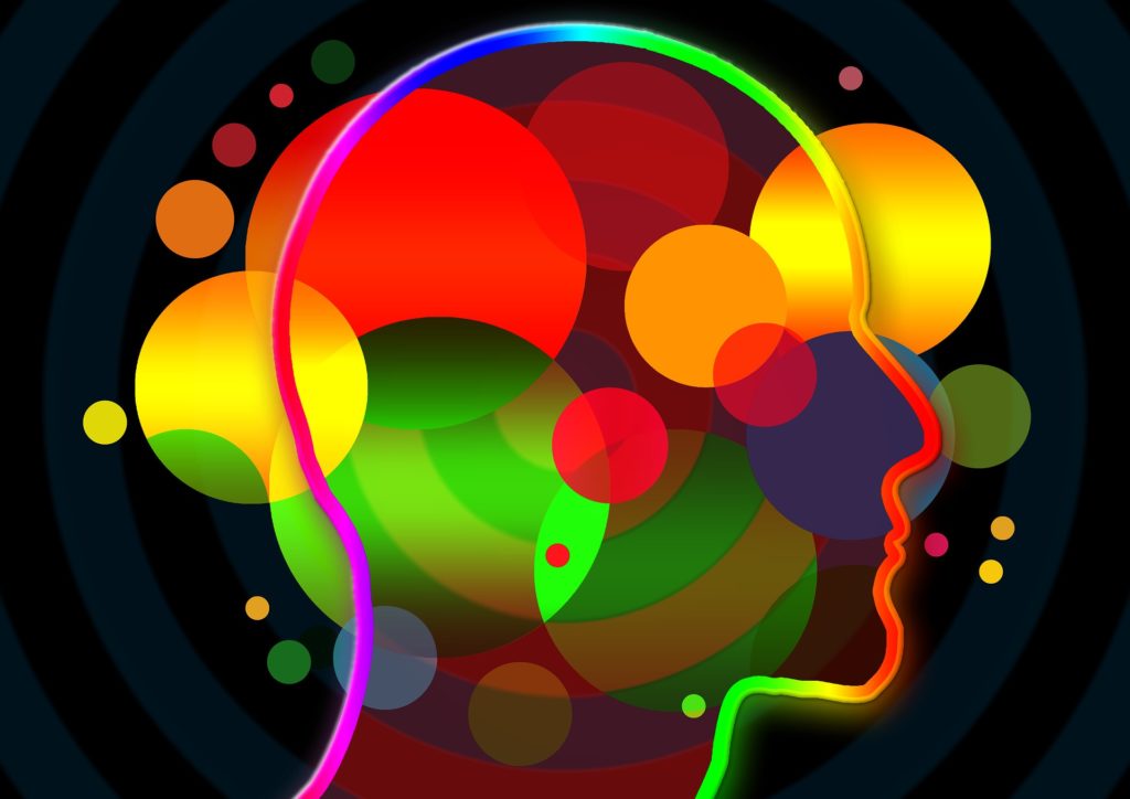 Compartmentalize Fact Fiction Plausibility