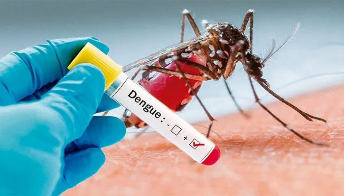Dengue Fever
