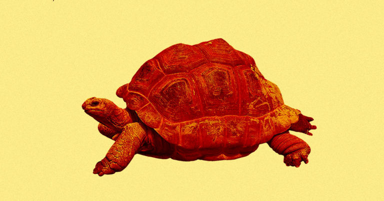 IT ISN’T JUST YOU: THE INTERNET IS ACTUALLY SUPER-SLOW LATELY