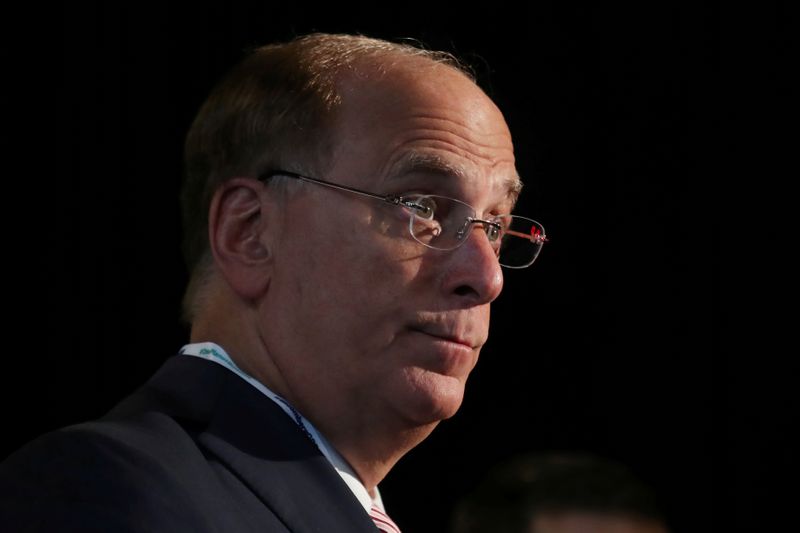 Blackrock CEO: equity market has rallied but global economy still in descent