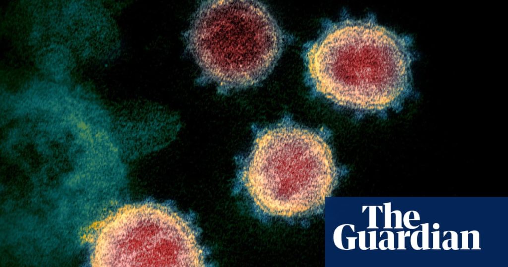 Black people four times more likely to die from Covid-19, ONS finds