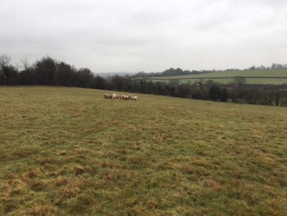 Villagers raise concerns over plan to build 'dominating and unnecessary' farm building in Callow End near Worcester
