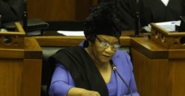 Trolls Flood S. Africa Parliament with Porn, Racist Abuse During Zoom Video Conference