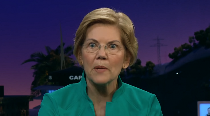 POCAHONTAS: Trump May Use Federal Forces as ‘Personal Militia’ to Stay in Office