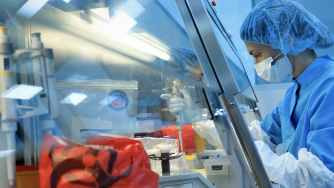 Production Of Russian COVID-19 Vaccine Begins As Asian Demand Soars; Germany Sees Most Cases Since April 30: Live Updates