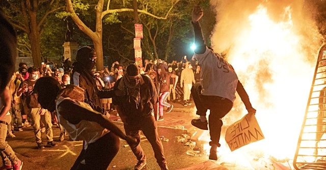 Donald Trump: ‘Protesters, Your Ass’ — These Are Anarchists