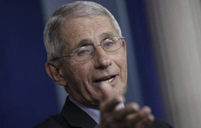 Dr. Fauci Warns "We Need To Hunker Down To Get Through This Fall And Winter Because It's Not Going To Be Easy"