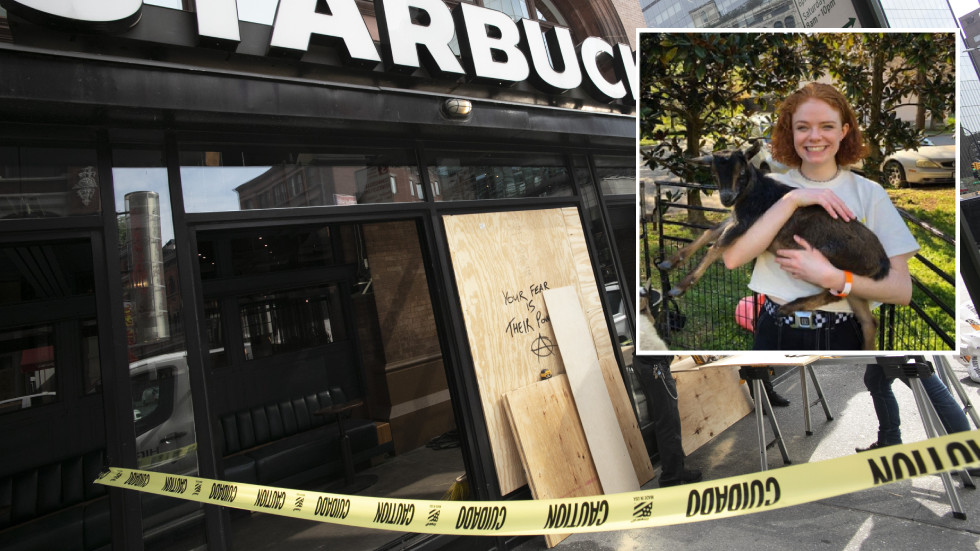 ‘The height of hypocrisy’: Wealthy student busted for taking part in BLM rampage which caused $100K worth of damage