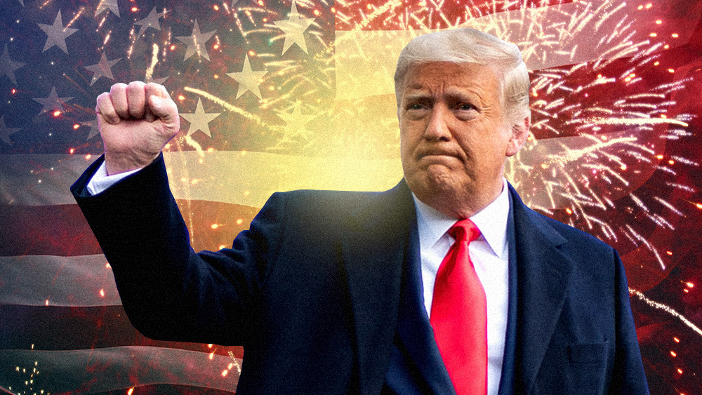 BOMBSHELL: The 2020 election took place under a Trump-declared “National Emergency” that set an Election Day trap for the “unauthorized accessing of election and campaign infrastructure”