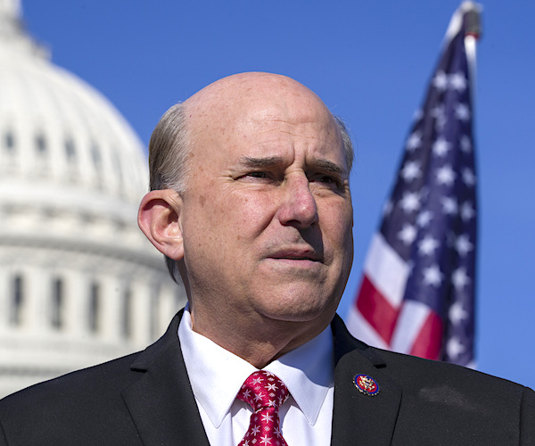 Rep. Louie Gohmert to Newsmax TV: Marchers Protested Against Stolen Election