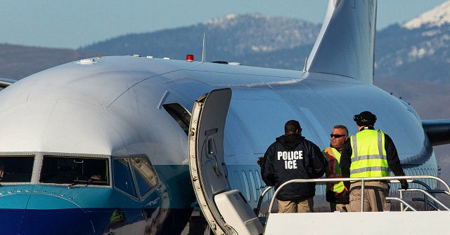 ICE Deports More Than 185K Illegal Aliens, 4.2K Gang Members in 2020