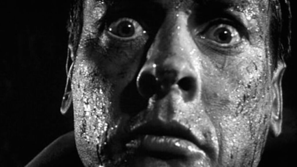 Invasion of the Body Snatchers: Psychological Warfare Disguised as a Pandemic