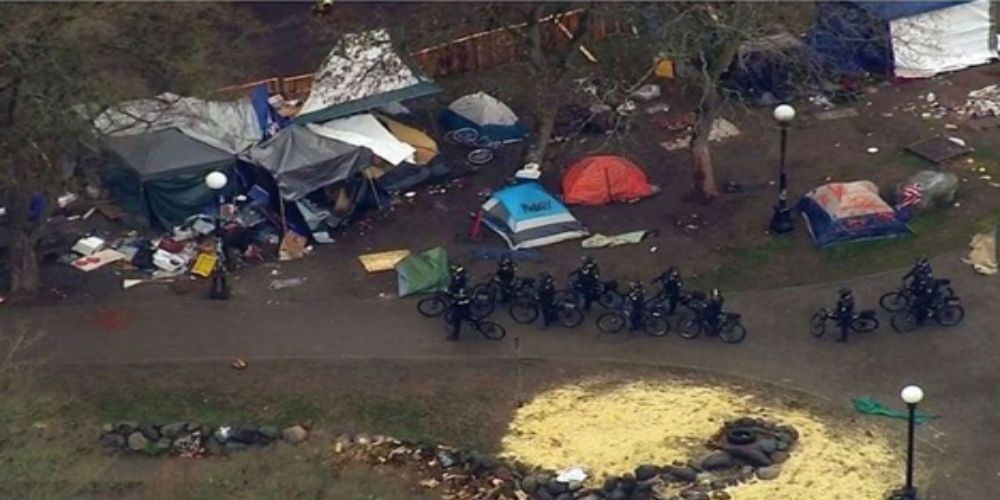 AMERICAN NEWS 'Homeless' poster child for new Seattle 'autonomous zone' revealed to be Marxist activist from Texas
