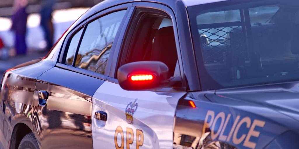 Ontario mom faces COVID-19 lockdown charges for leaving kids with grandparents to pick up groceries