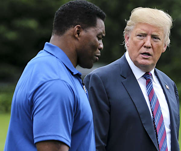 Will Ex-Sen. Perdue's Exit Mean Sen. Herschel Walker, R-Ga.?