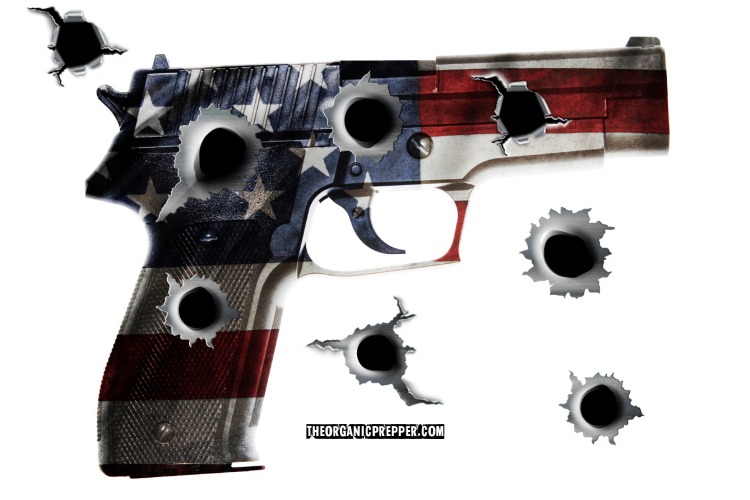 OUTRAGEOUS Gun Control Bills: Family Psych Evals, $800 a Year “Insurance,” a PUBLIC Gun Registry, and More
