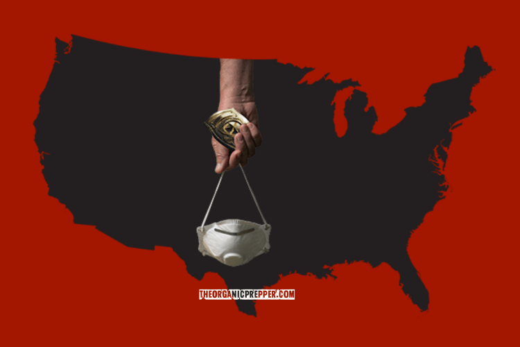 CDC and TSA Form FEDERAL MASK POLICE…and Enforcement Is Up to Officer Discretion