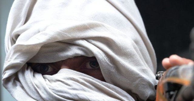 Afghan News Agency: Taliban Controls over Half of the Country