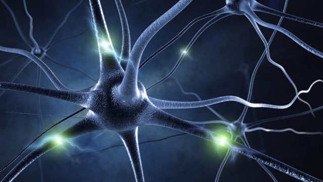 Scientists Stimulate Brain To Remove Fear, Boost ‘Confidence’