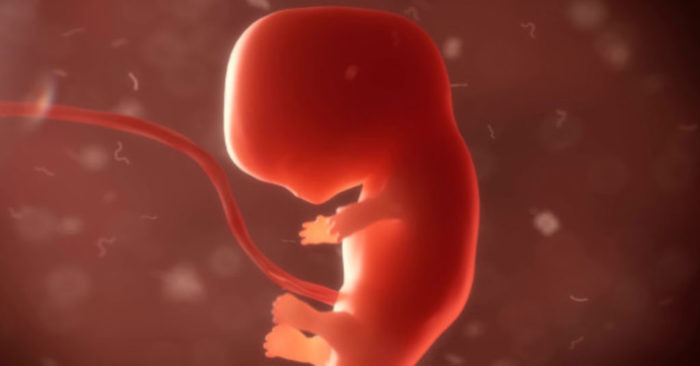 Supreme Court debates changes to US abortion rules