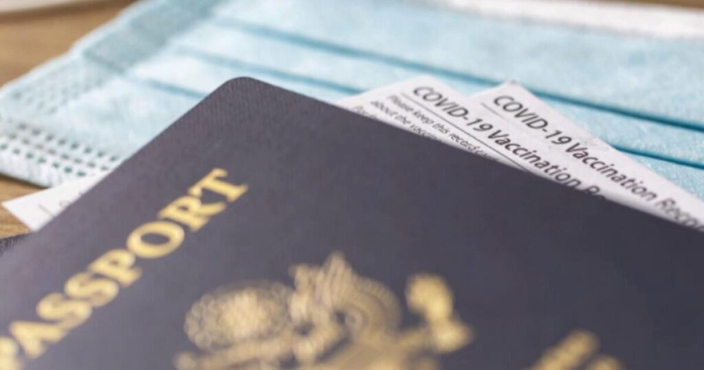 Poll Claims Nearly Half of Americans Think ‘Vaccine Passports’ Are A ‘Good Idea’