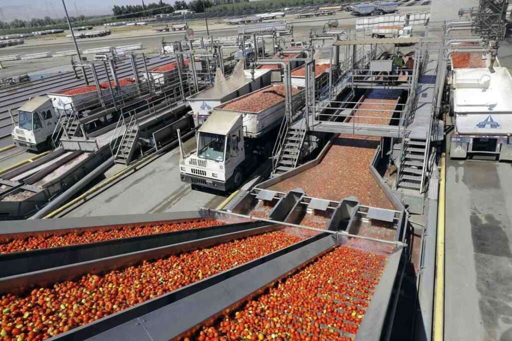 Food Prices Are About to Soar Right Alongside Gas and Electricity Costs