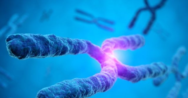 Endocrine Society Scientific Statement: ‘Two Sexes,’ Male and Female