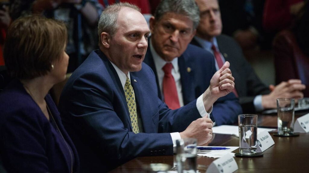 Watch: Steve Scalise Challenges Dr. Facui on Biden Administration's COVID Hypocrisy at the Border