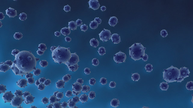 ‘Leaky’ Vaccines Can Produce Stronger Versions of Viruses