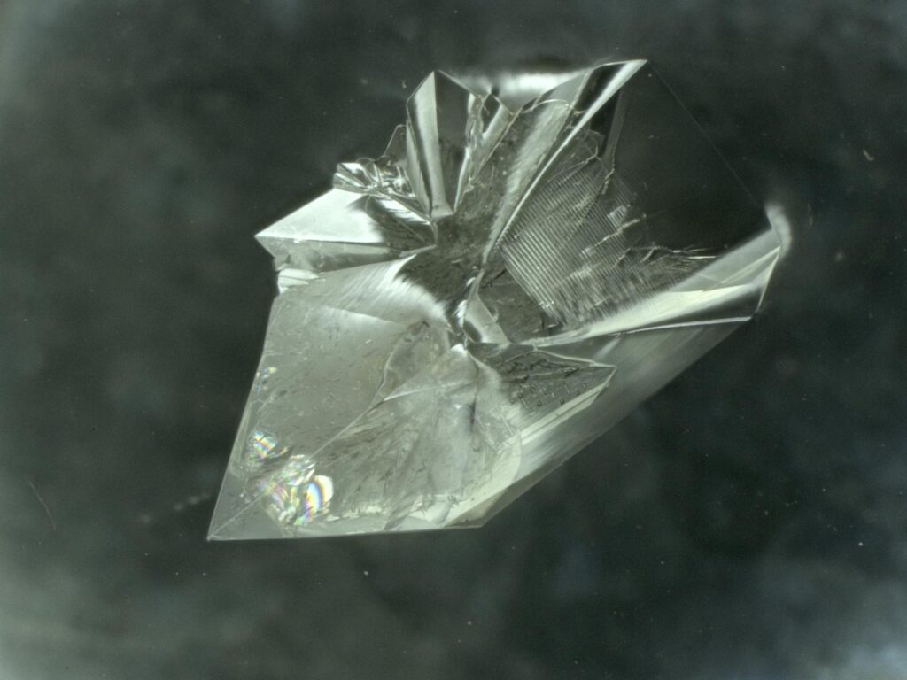 Shocking video reveals cell tower transmissions interfering with xylitol crystal formation, showing disruption of “morphic resonance”