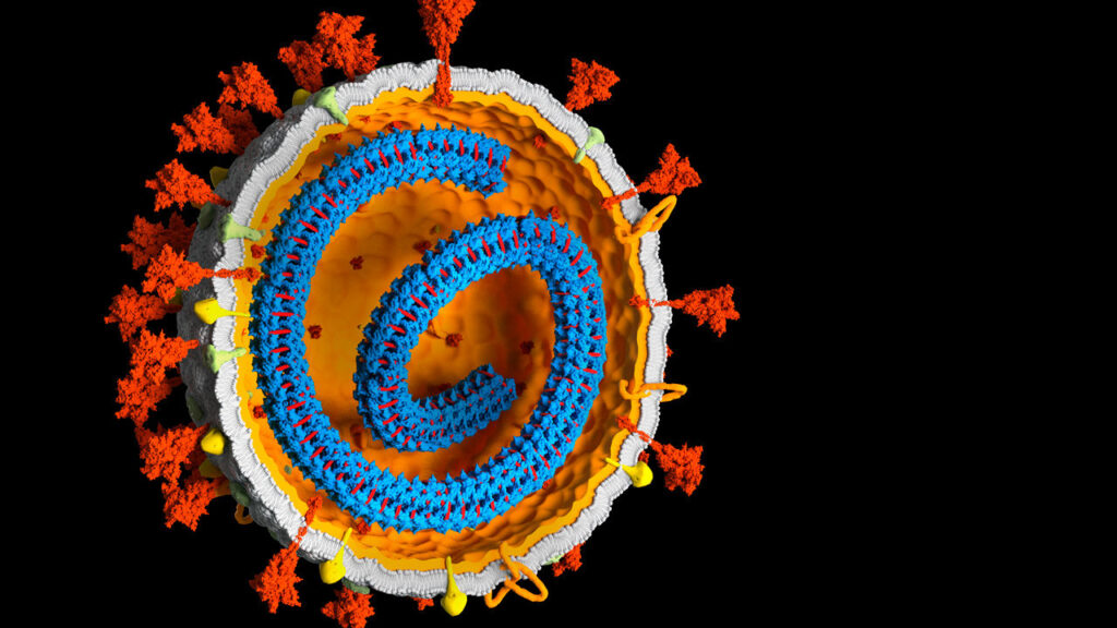 Further evidence supports controversial claim that SARS-CoV-2 genes can integrate with human DNA