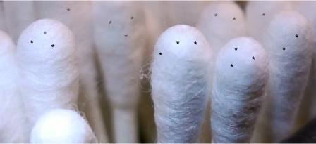 Johns Hopkins University confirms: You can be vaccinated with a PCR test, even without knowing