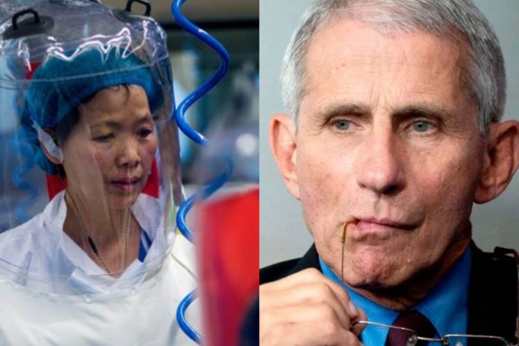 Revealed: Dr. Fauci Previously Argued For Risky Viral Experiments – Even if The Work Could Lead to a Deadly Pandemic