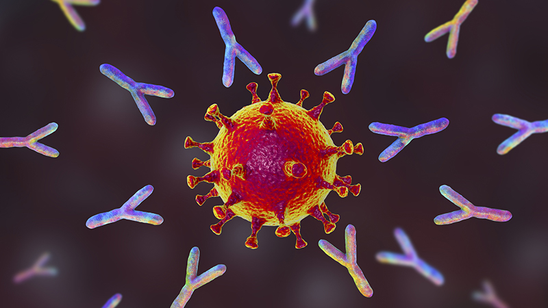 Johns Hopkins Prof: Half Of Americans Have Natural Immunity; Dismissing It Is ‘Biggest failure Of Medical Leadership’