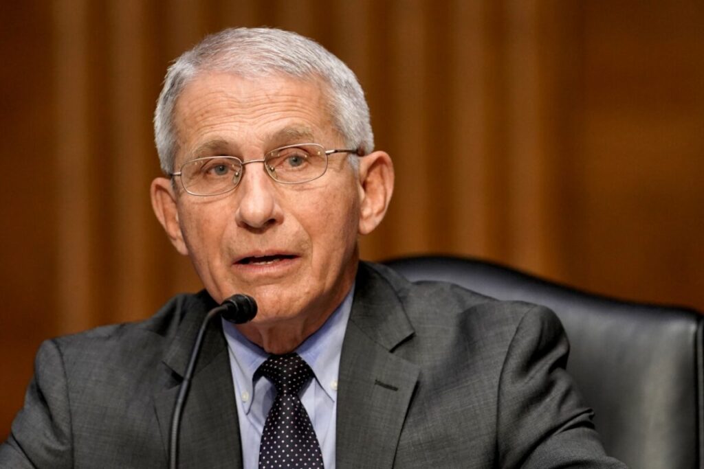 Fauci and the Media Have Serious Blood on Their Hands Over COVID