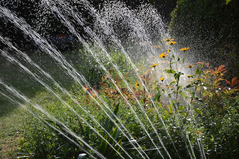 CALIFORNIA COUNTY IMPLEMENTS RESTRICTIONS ON WATER DUE TO EXTREME DROUGHT CONDITIONS