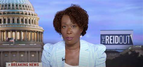 Joy Ann Reid says ‘Antifa are just anti-fascists’ amidst criminal charges in Portland