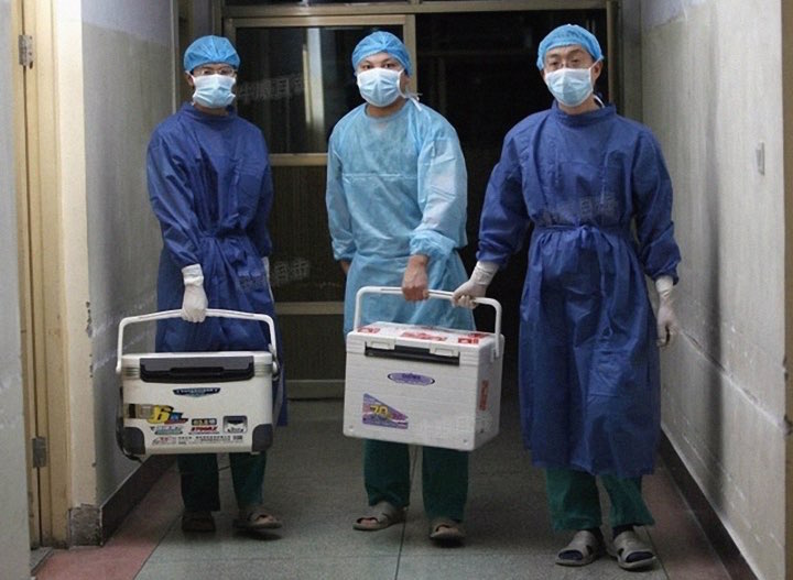 The Tragic Truth: Organ Harvesting in China