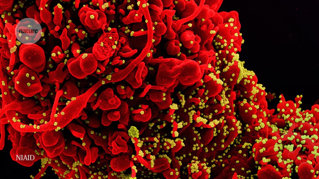 Coronavirus variants get Greek names — but will scientists use them?