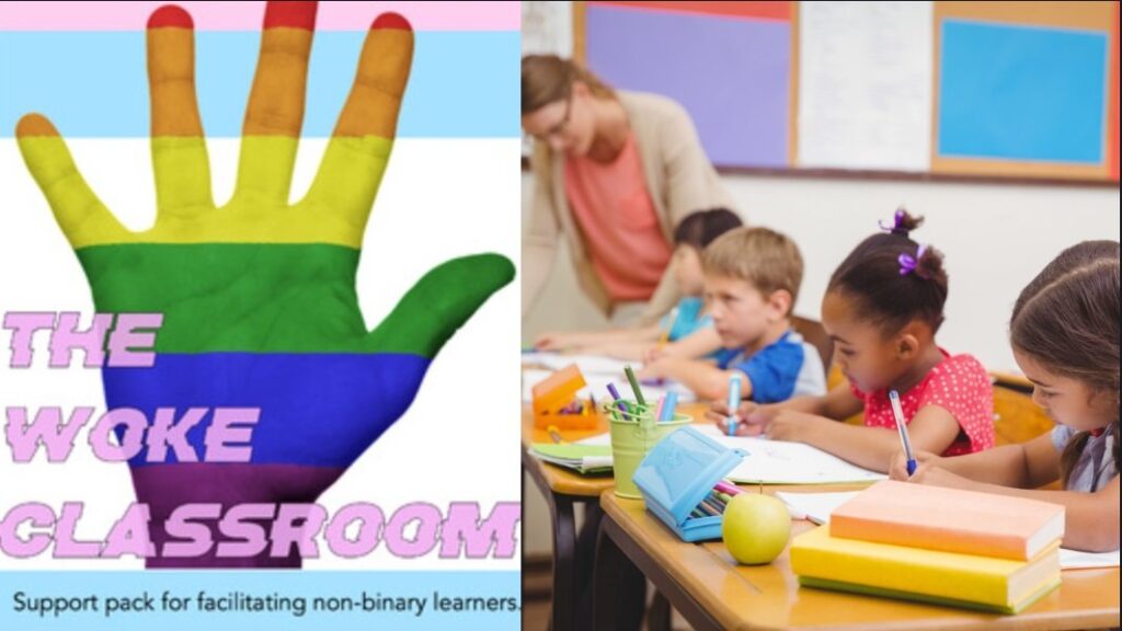 Outrageous! Here’s a Look at the Shocking White Privilege, Gender Equity Lesson Plans Used To Indoctrinate Your Kids