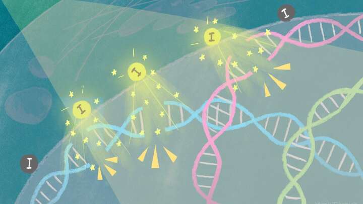 Quantum Phenomenon Used To Kill Cancers – For Real, For Once