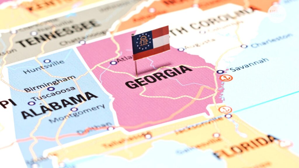 Georgia dems: If we can’t cheat, “we’re f**ked”