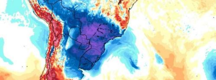 Freak Cold Snap In Biggest Coffee Exporter Sparks Huge Price Surge