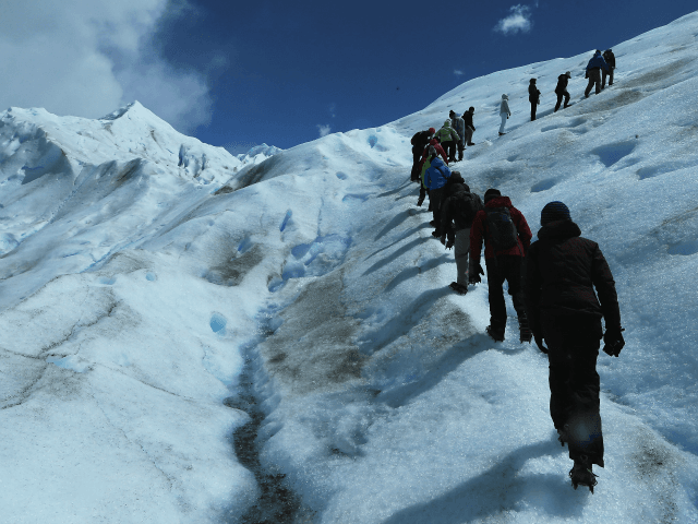 Chinese, U.S. Scientists Unearth Ancient Frozen Mystery Viruses
