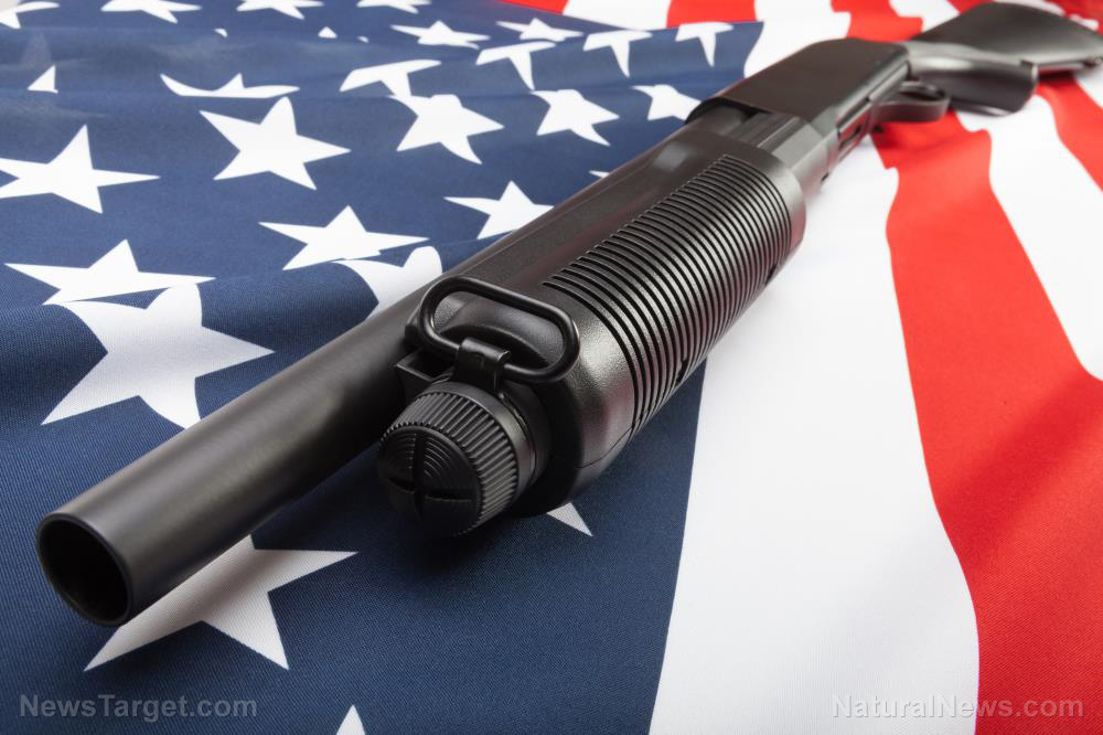 Govt to force gun owners to pay annual tax, will confiscate guns from those who refuse