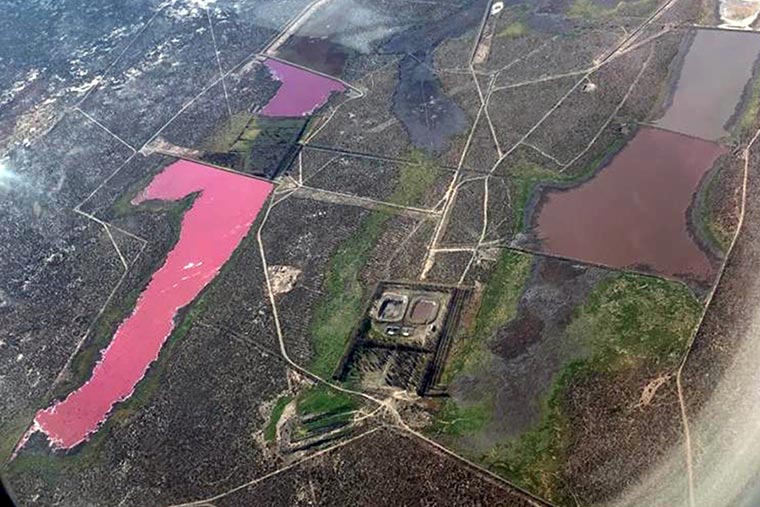 Water turns pink in Argentina lagoon… And it’s not natural at all!