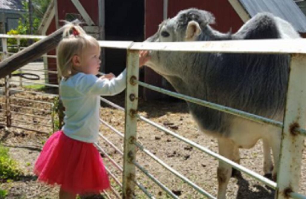 Iowa Private Zoo Owner Loses Their Appeal, Despite the Judge Behaving as an Activist