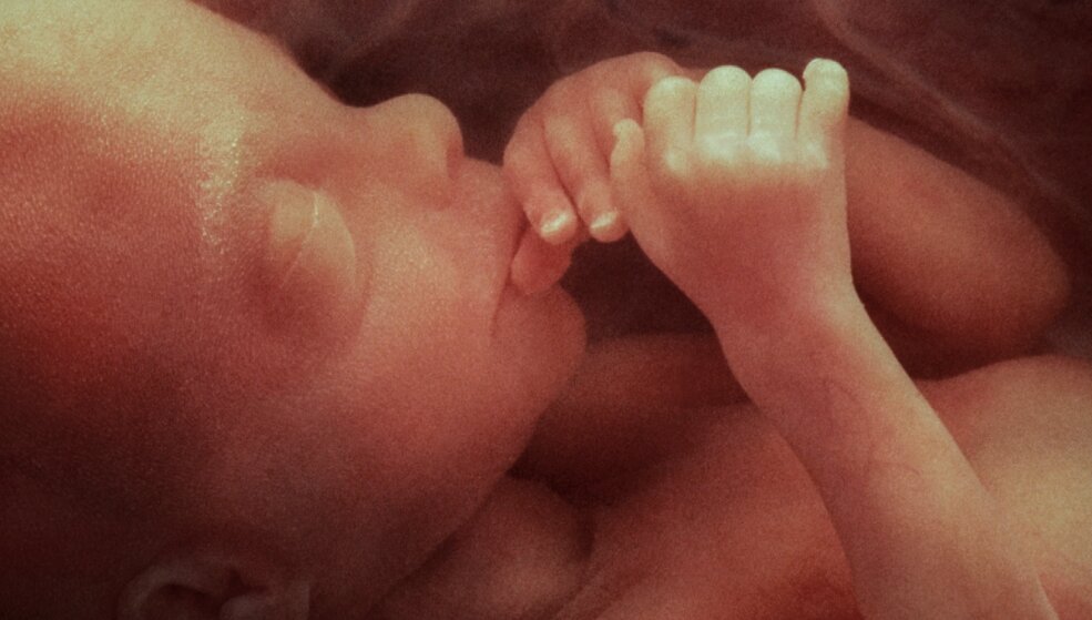 “Conspiracy Theory” Over Aborted Babies For Organ Harvesting Leads To Be True And Government-Funded